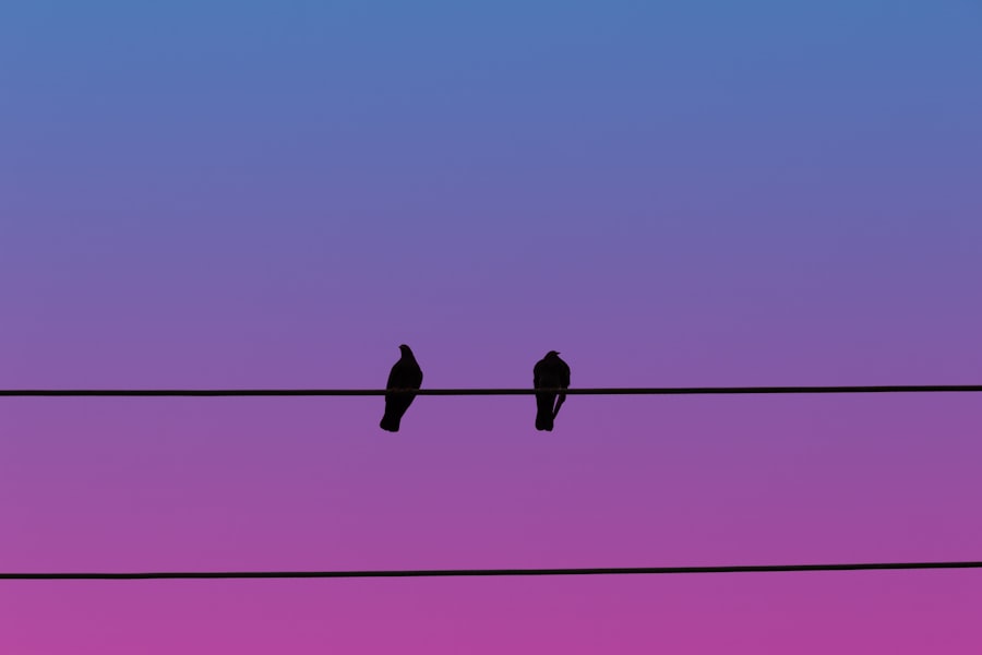 Photo Multiple endings