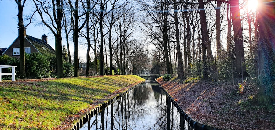 Natuurverschijnselen