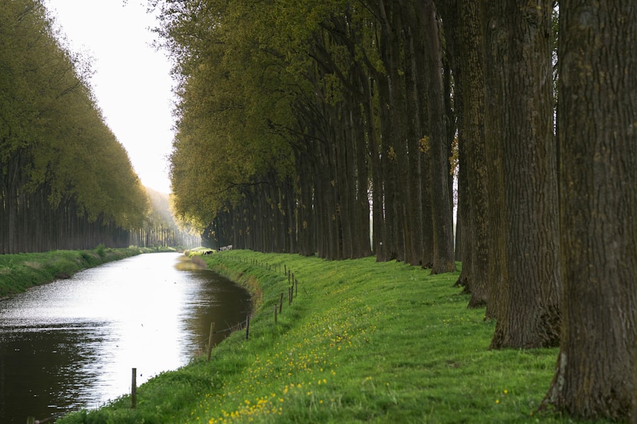 Photo Natuurverschijnselen